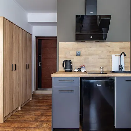Vitosha Loft - *