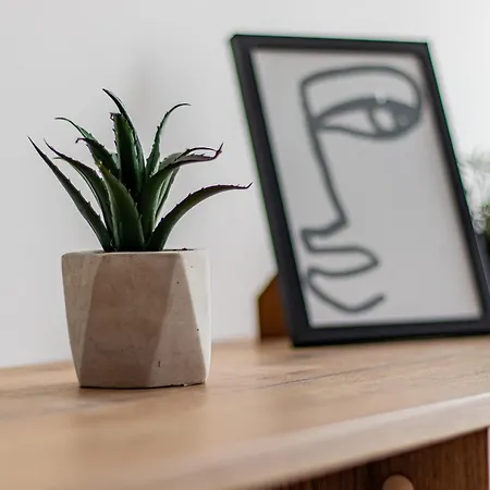 Vitosha Loft - Apartment *