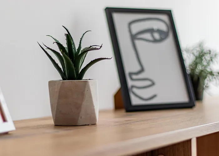 Vitosha Loft - Appartement *