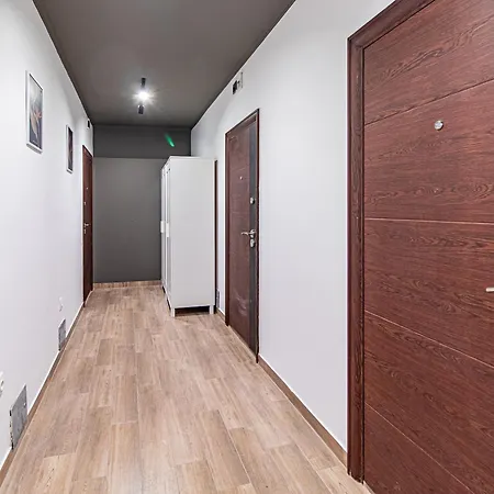 Vitosha Loft - 公寓 索菲亞